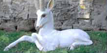 Image 01