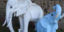 Image 02