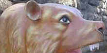 Image 04