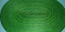 Image 04